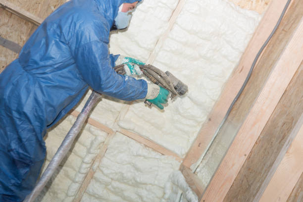 Types of Insulation We Offer in Jonestown, TX